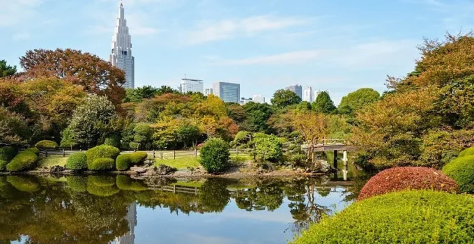 Shinjuku Gyoen: Melewati Sakura Keindahan Musim Bunga di Taman