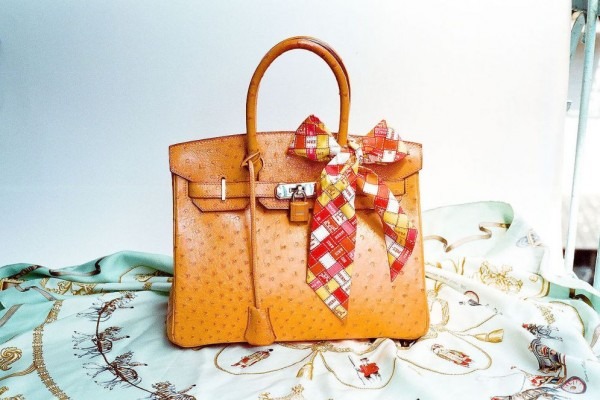 the Hermès Birkin bag