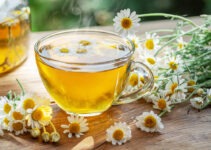 Chamomile Tea: Discover the Soothing Power and Health Benefits of This Magical Brew