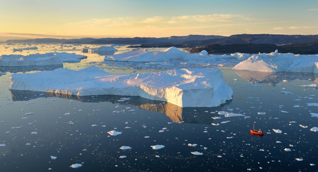 A humpback whale breaching near the icebergs in the Ilulissat Icefjord 