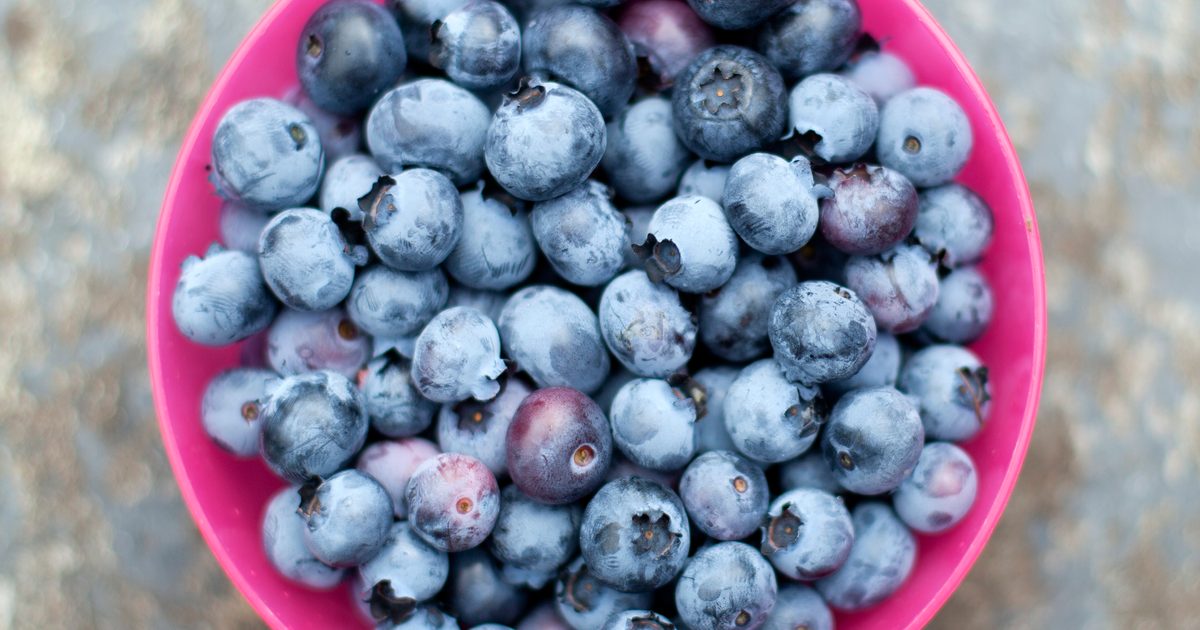 A vibrant salad topped with blueberries and feta cheese. 