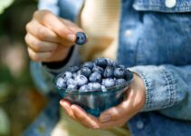 Blueberries: Supercharge & Energize Your Health Today