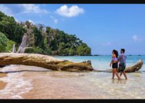 Andaman and Nicobar Islands: Best Beaches and Adventures