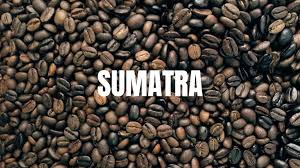 Kopi Sumatera