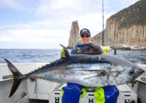 The Majestic Bluefin Tuna: A Deep Dive into One of the Ocean’s Most Powerful Predators