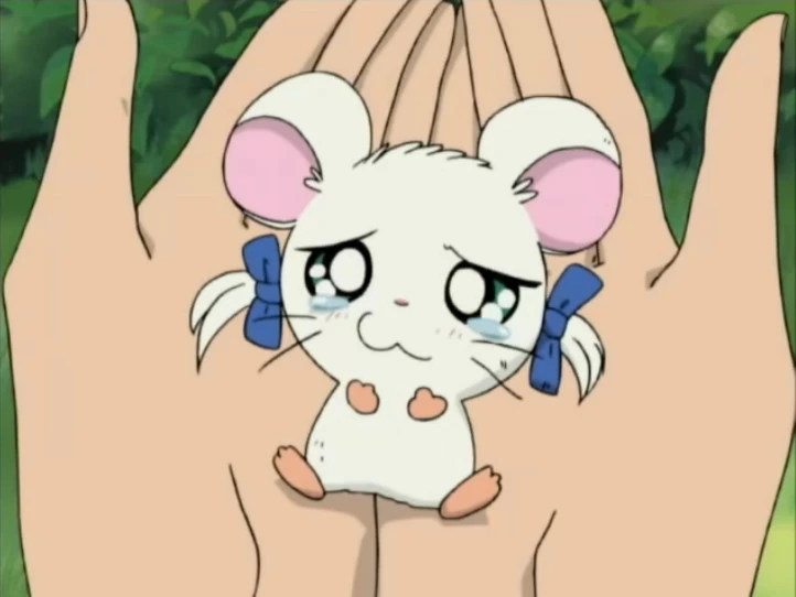 hamtaro-si-hamster-menggemaskan-yang-melegenda