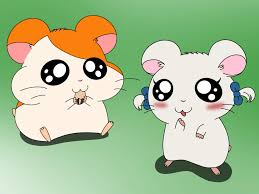 hamtaro-si-hamster-menggemaskan-yang-melegenda