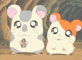 hamtaro-si-hamster-menggemaskan-yang-melegenda