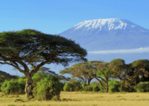 Gunung Kilimanjaro: Keajaiban Alam di Atas Afrika