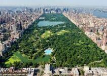 Central Park New York: Ikon Hijau di Tengah Kota Metropolitan