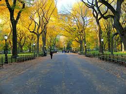 Central Park New York