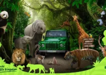 Taman Safari Indonesia: Wisata Edukatif yang Wajib Dikunjungi Keluarga
