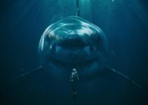The Black Demon: Film Hiu yang Bikin Deg-degan dan Mikir Juga