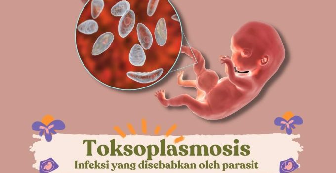 Infeksi Toksoplasma: Panduan Lengkap untuk Pencegahan dan Penanganan