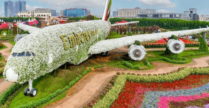 Dubai Miracle Garden: Surga Bunga Raksasa di Tengah Gurun Dubai
