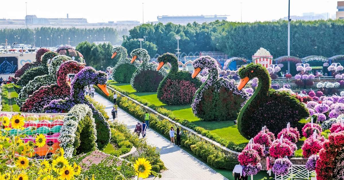 Keajaiban Dubai Miracle Garden