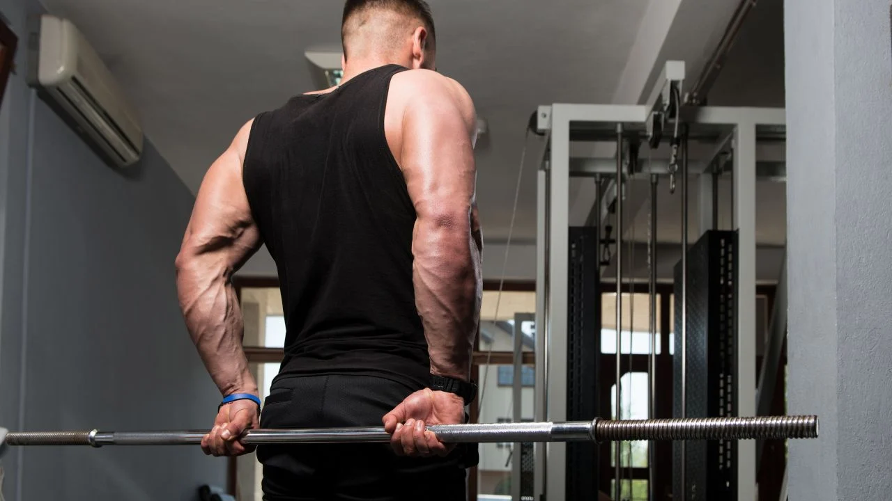 Tips Mengatur Intensitas Latihan forearm wrist workouts untuk Pemula