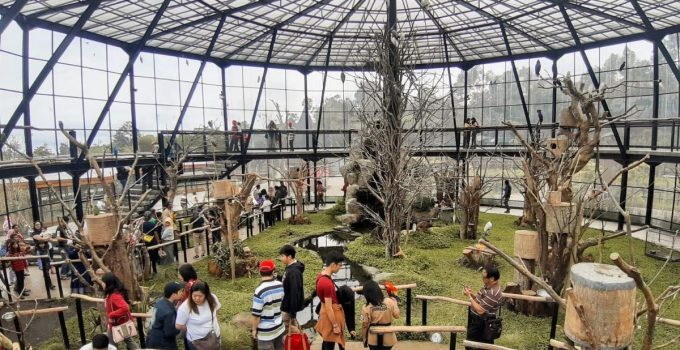 Lembang Park and Zoo, Wisata Edukasi Keluarga 2026